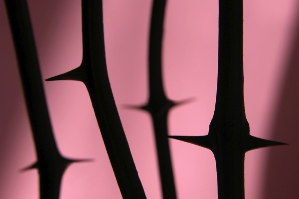 iStock_000000520346Medium.jpg IStock 000000520346Medium