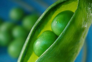 2 peas in a pod 300x203